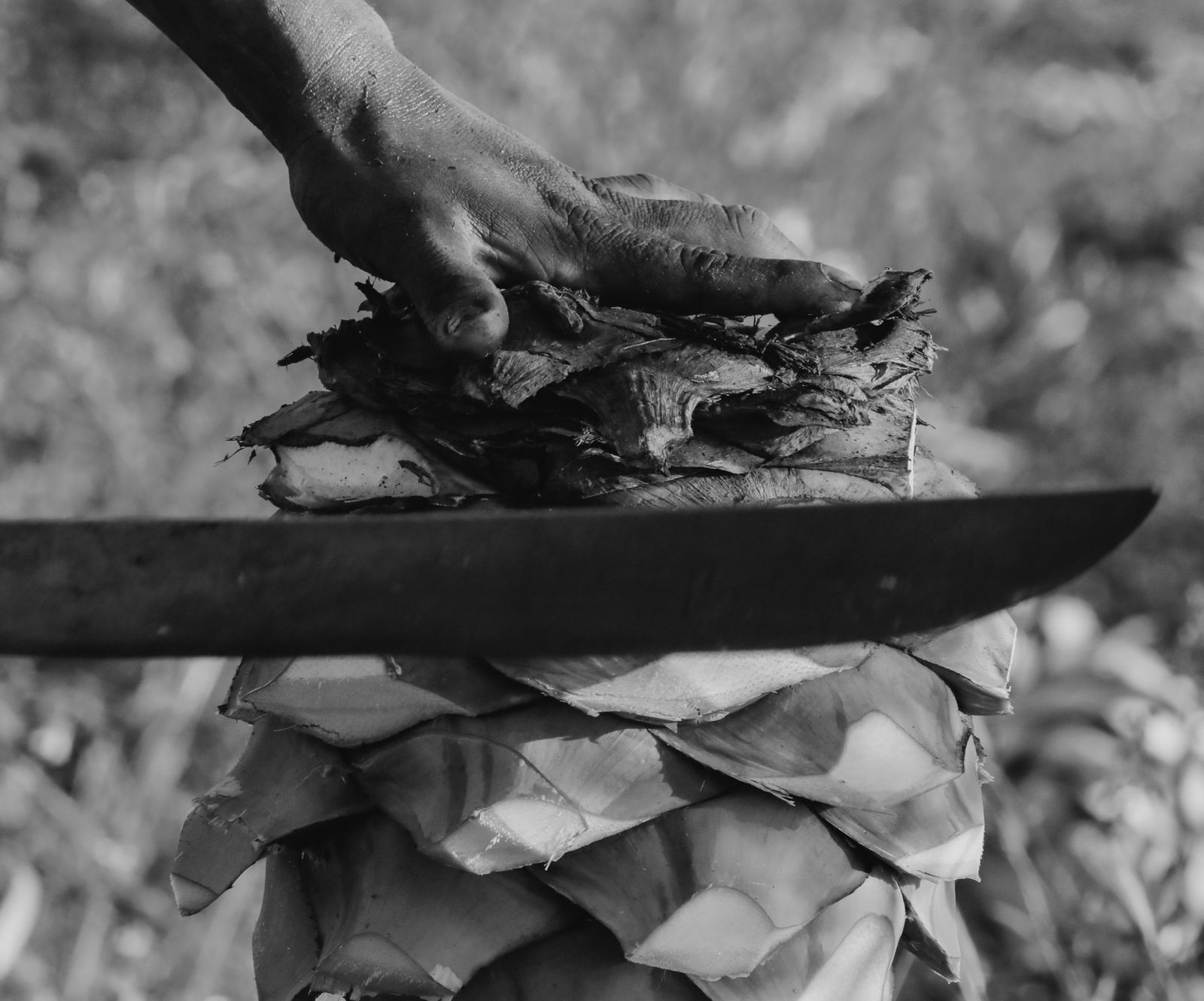 Fotografía Profesional